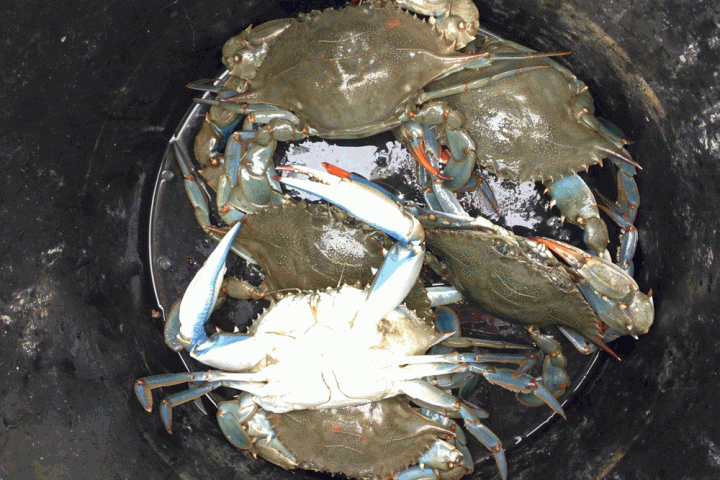 may river excursions bluffton south carolina