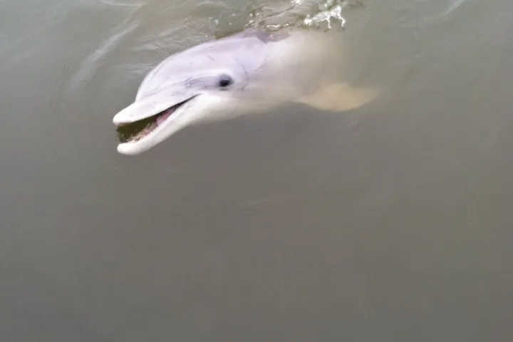 savannah fishing charters