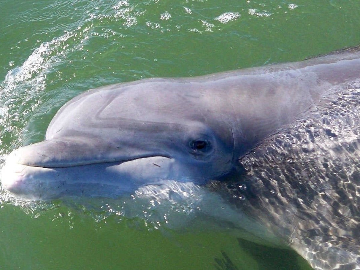 may river excursions bluffton south carolina