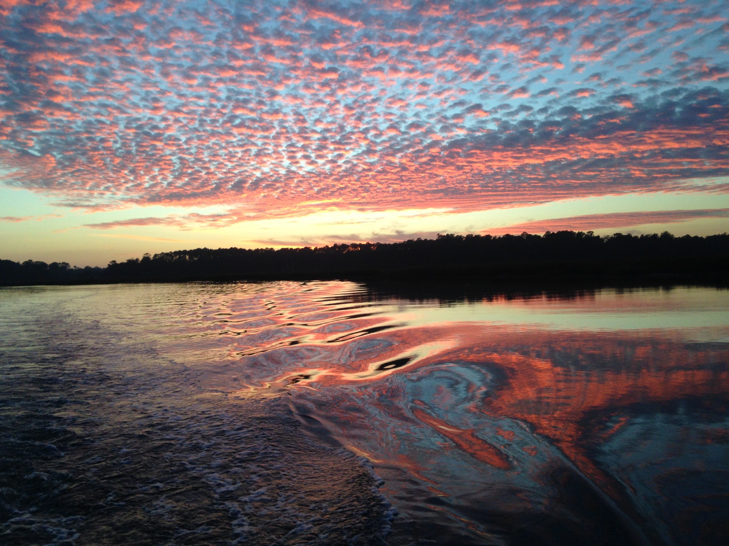 may river excursions bluffton south carolina