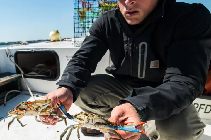 may river excursions bluffton south carolina