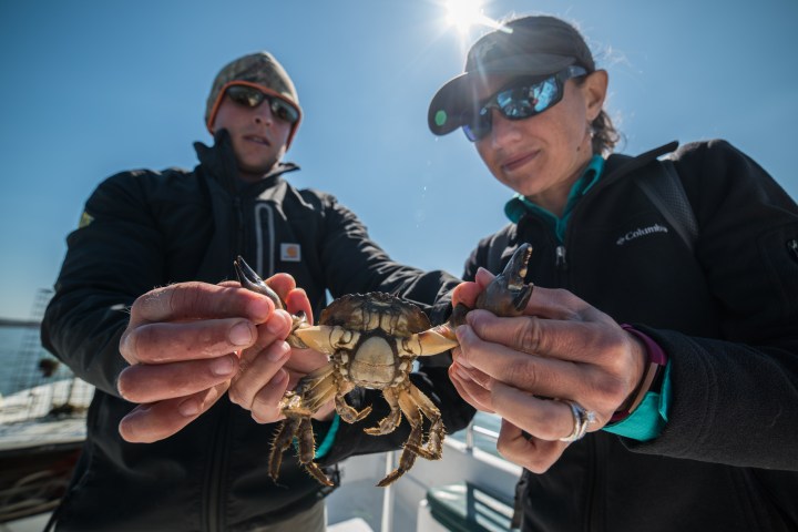 hilton head island river excursions