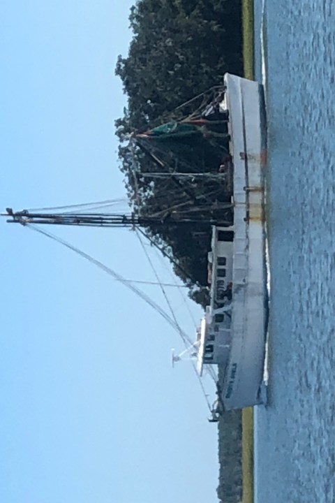 may river excursions bluffton sc