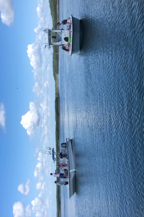 may river excursions bluffton sc