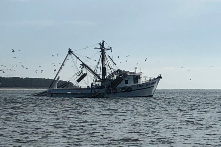 hilton head island river excursions