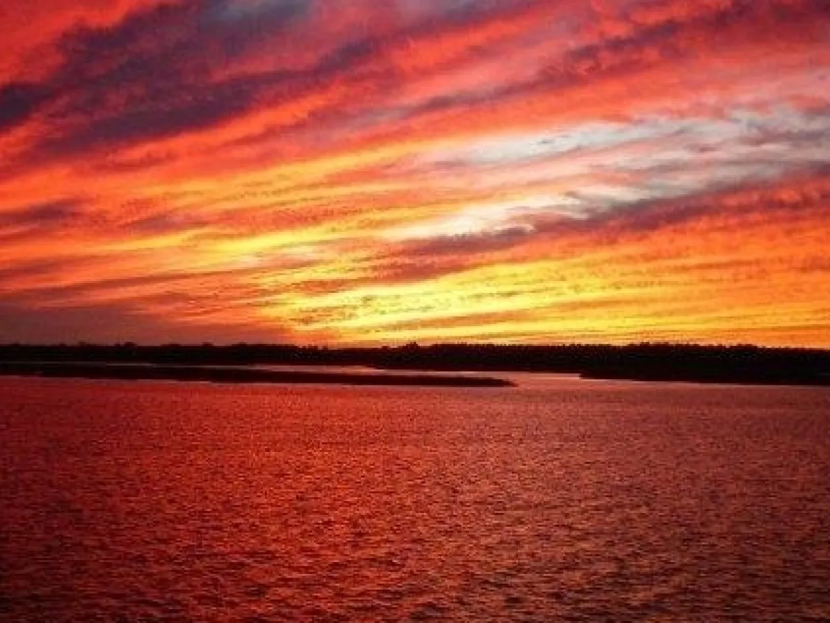 may river excursions bluffton south carolina